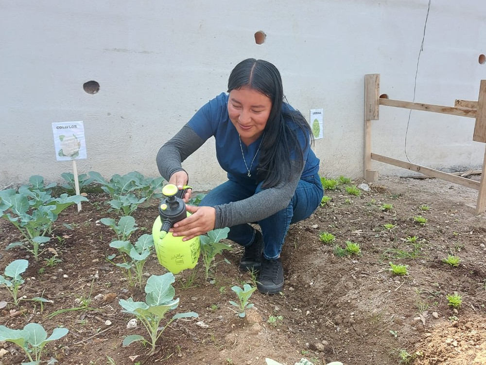Desarrollan huertos de hortalizas para uso doméstico y medicinal 