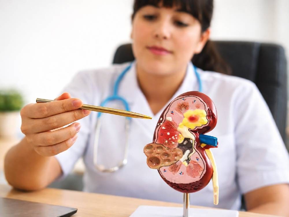 Día Mundial del Riñón: un llamado a cuidar la salud renal 