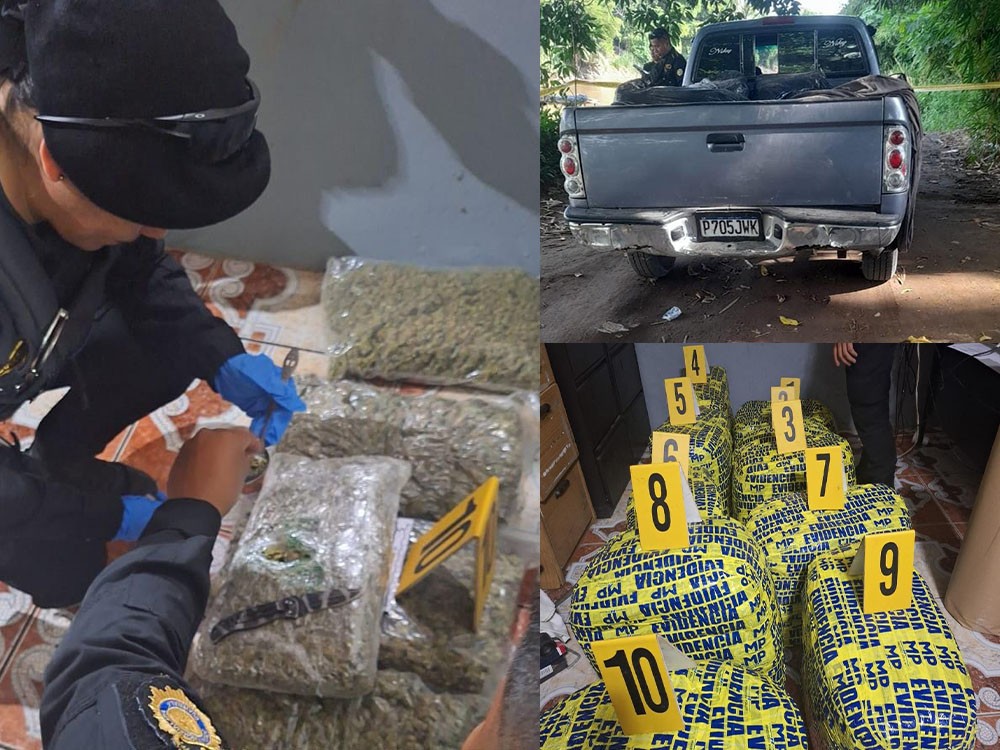 Dipafront Incauta marihuana en San Marcos