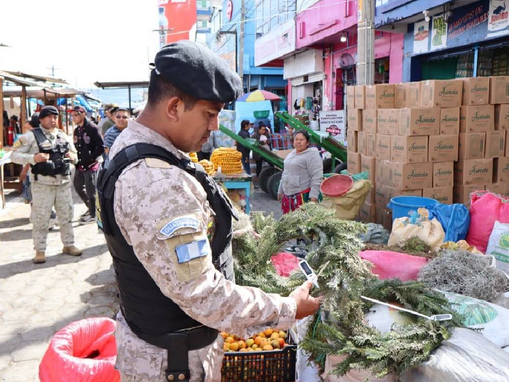 Diprona refuerza operativos en Xela para prevenir el comercio ilegal de pinabete