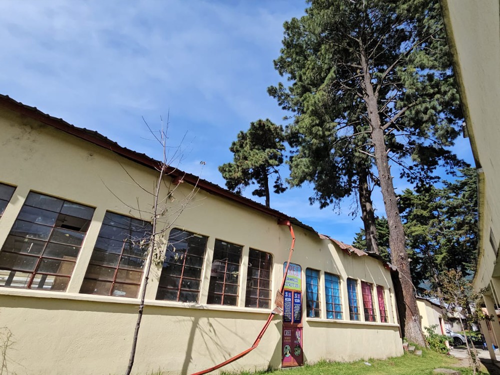 Docentes y estudiantes en riesgo por árboles en escuela de San Marcos