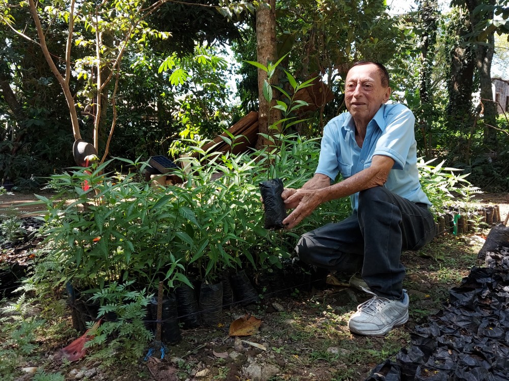 El vivero municipal de Mazatenango que busca rescatar especies en peligro de extinción