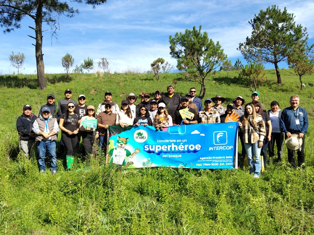 Equipo de Región Más siembra 250 árboles en jornada de reforestación 