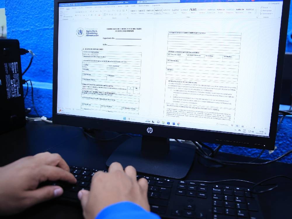 Este es el procedimiento para realizar una denuncia por maltrato o crueldad animal