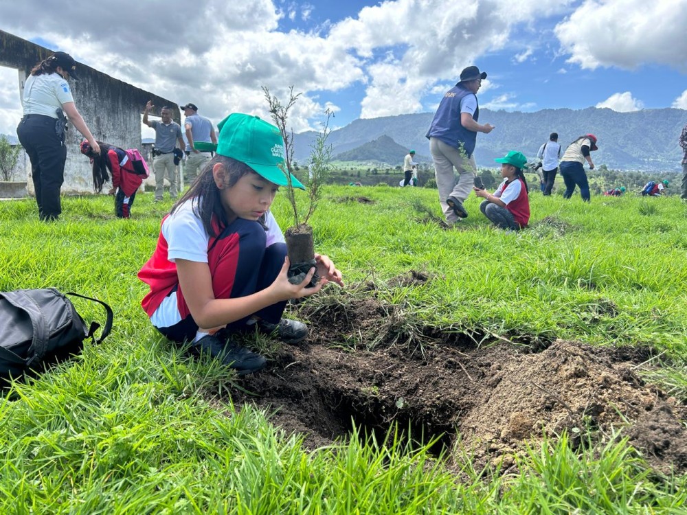 Estos serán lo lugares priorizados para la siembra de árboles donados