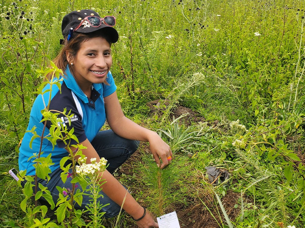 Impulsan reforestación y educación ambiental en Quetzaltenango 