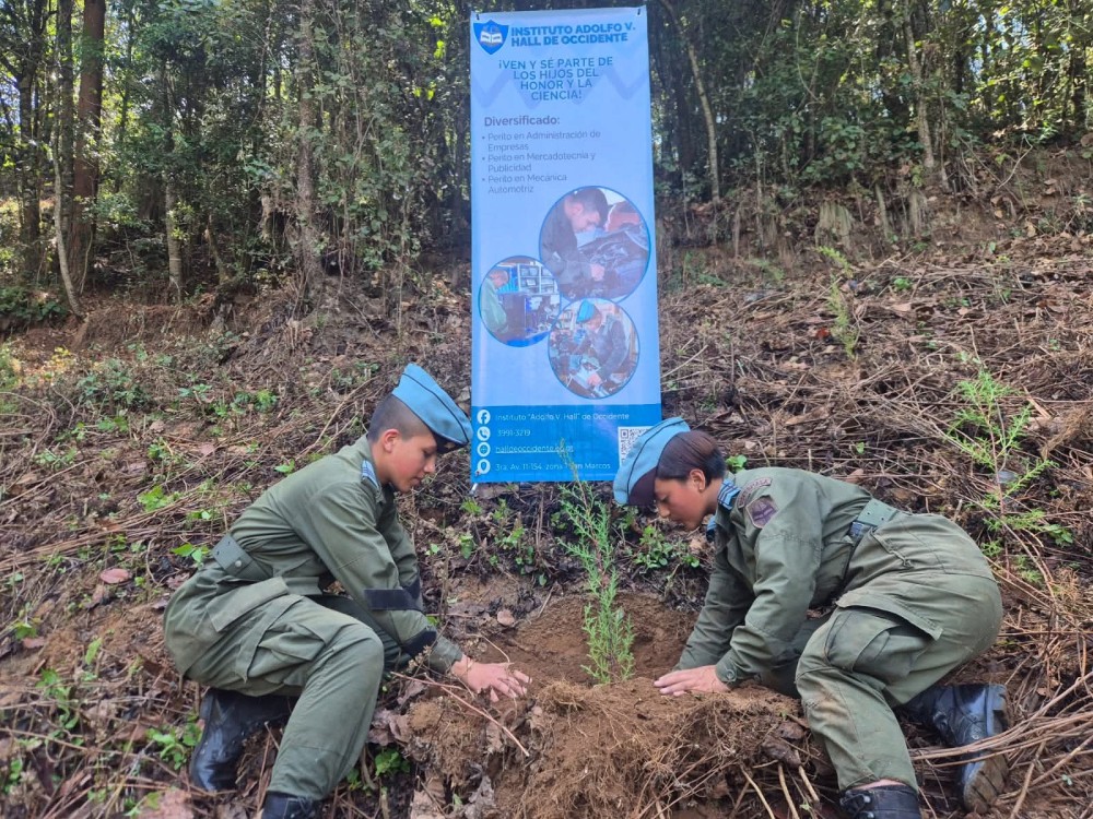 Estudiantes e Inab impulsan jornada de reforestación en Comitancillo con la siembra de 1 mil 500 árboles