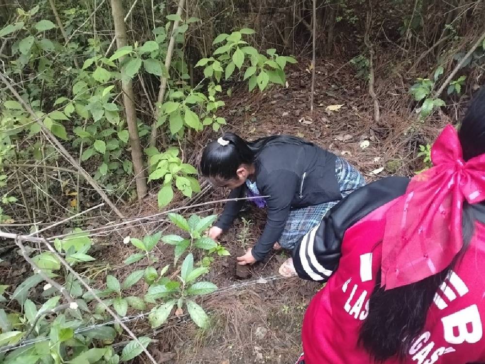 Estudiantes y personal de salud se unen para proteger los nacimientos de agua en Cabricán