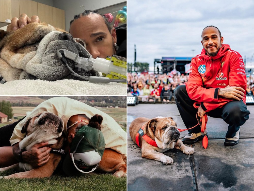 Fallece Roscoe, el inseparable compañero de Lewis Hamilton