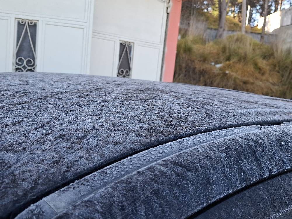 Febrero inicia con bajas temperaturas: frío y viento acelerado prevalecerán en la primera semana
