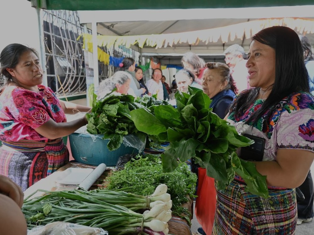 Feria del Agricultor fortalece la producción orgánica y recibe respaldo institucional en Quetzaltenango