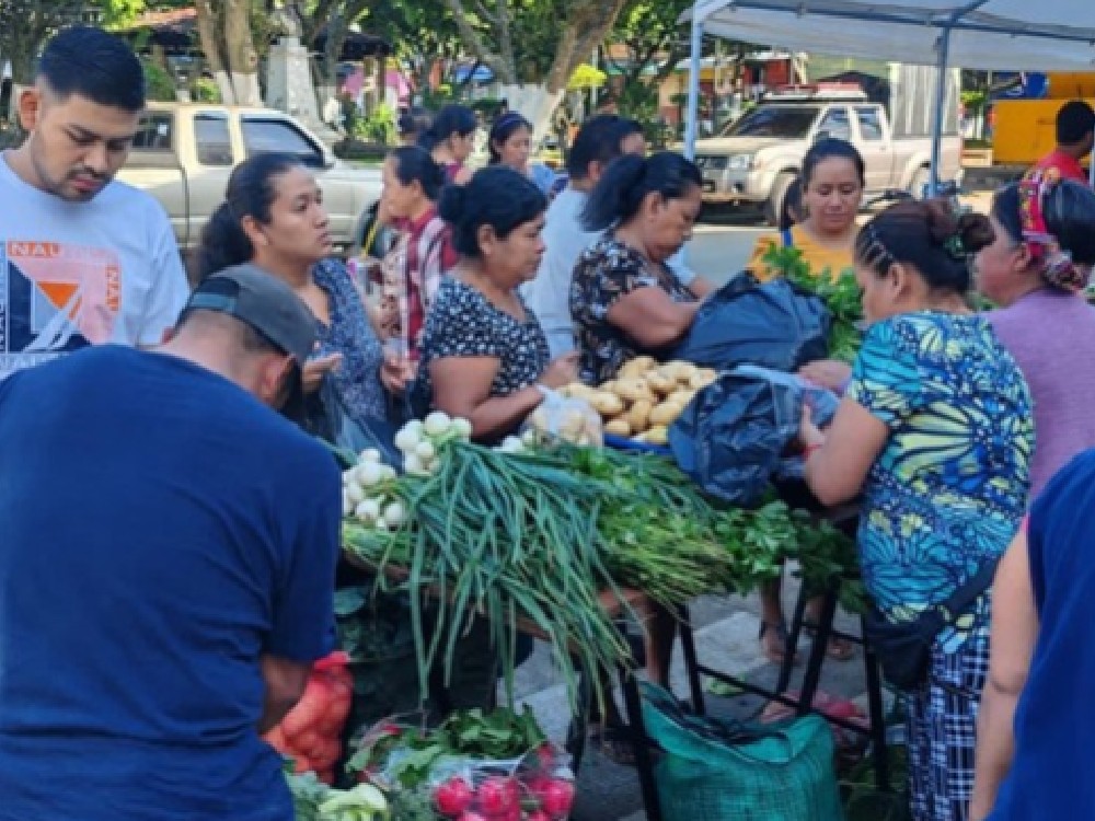 Ferias del agricultor llegarán a 24 municipios durante octubre