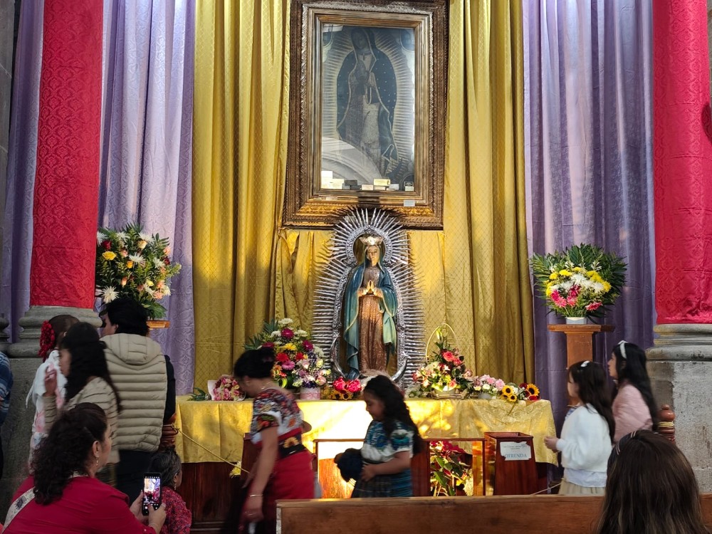 Fervor guadalupano llena la Catedral de Los Altos y el Parque Central este 12 de diciembre