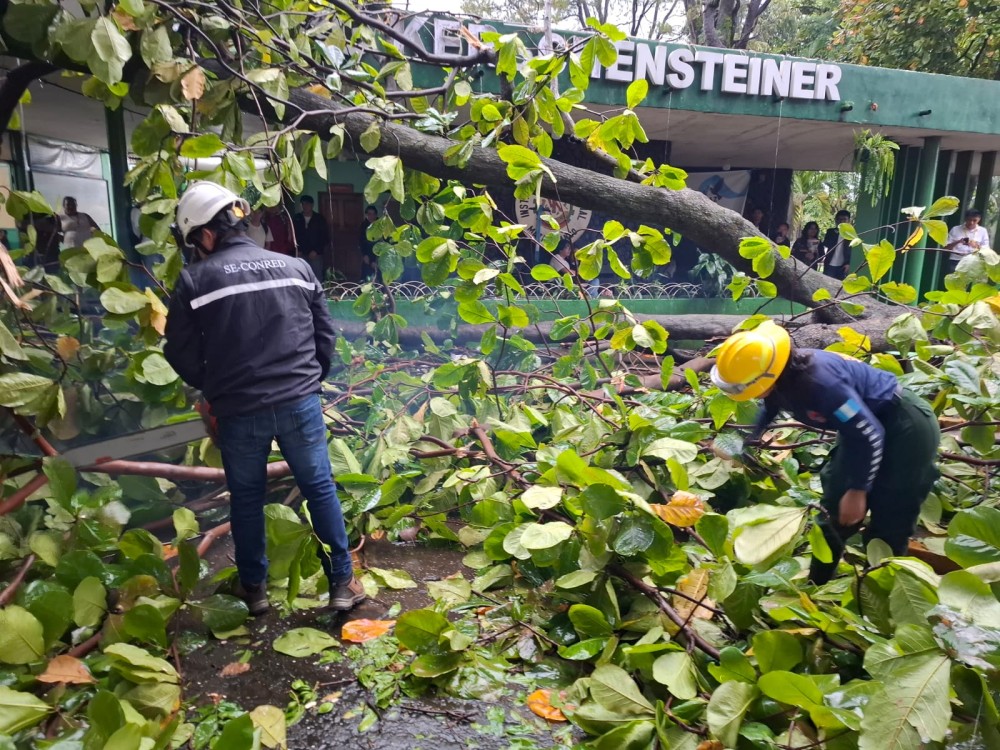 Fuerte vientos y lluvias intensas provocan inundaciones y caída de árboles en Mazatenango