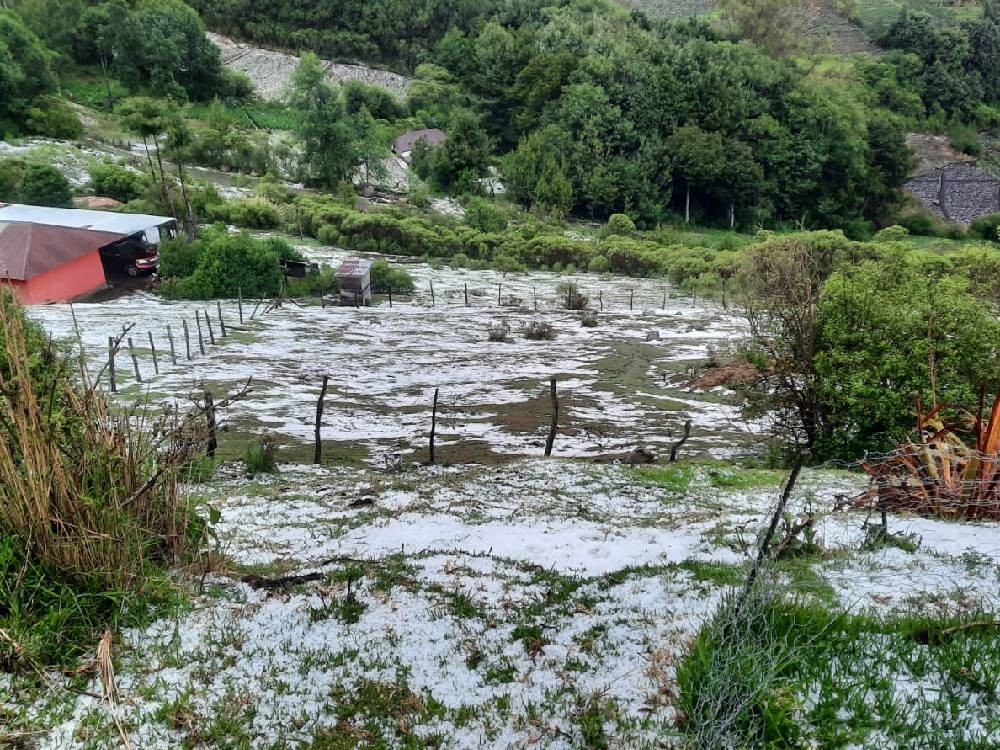 Fuertes lluvias y caída de granizo dañan cultivos en San José El Rodeo y comunidades de San Marcos