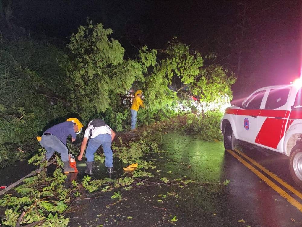Fuertes lluvias y vientos provocan caída de árboles en Suchitepéquez; autoridades mantienen monitoreo
