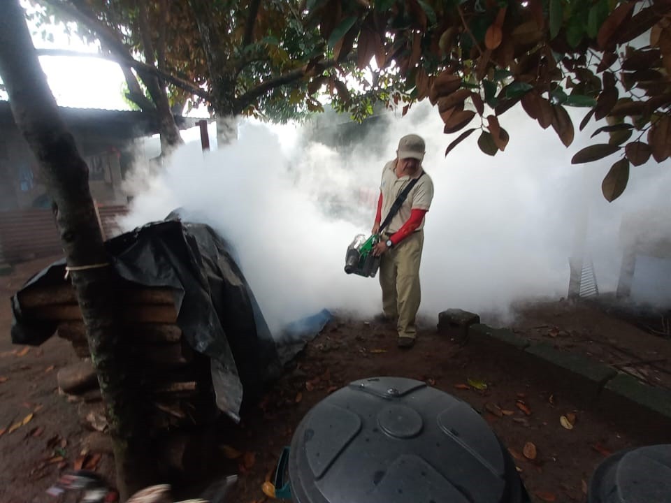 Fumigan Magnolia en Coatepeque para frenar casos de dengue