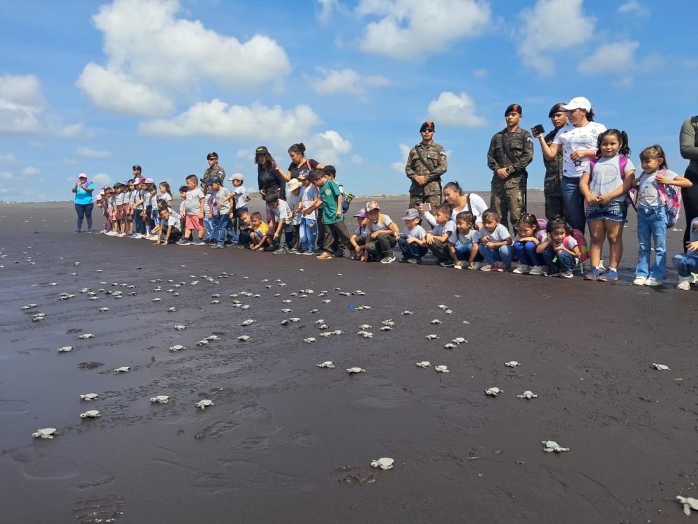 GALERÍA | Personal castrense fortalece la conservación de las tortugas marinas en Guatemala 