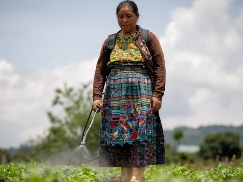 Gobierno impulsa programa Crédito Tob’anik para apoyar a agricultores