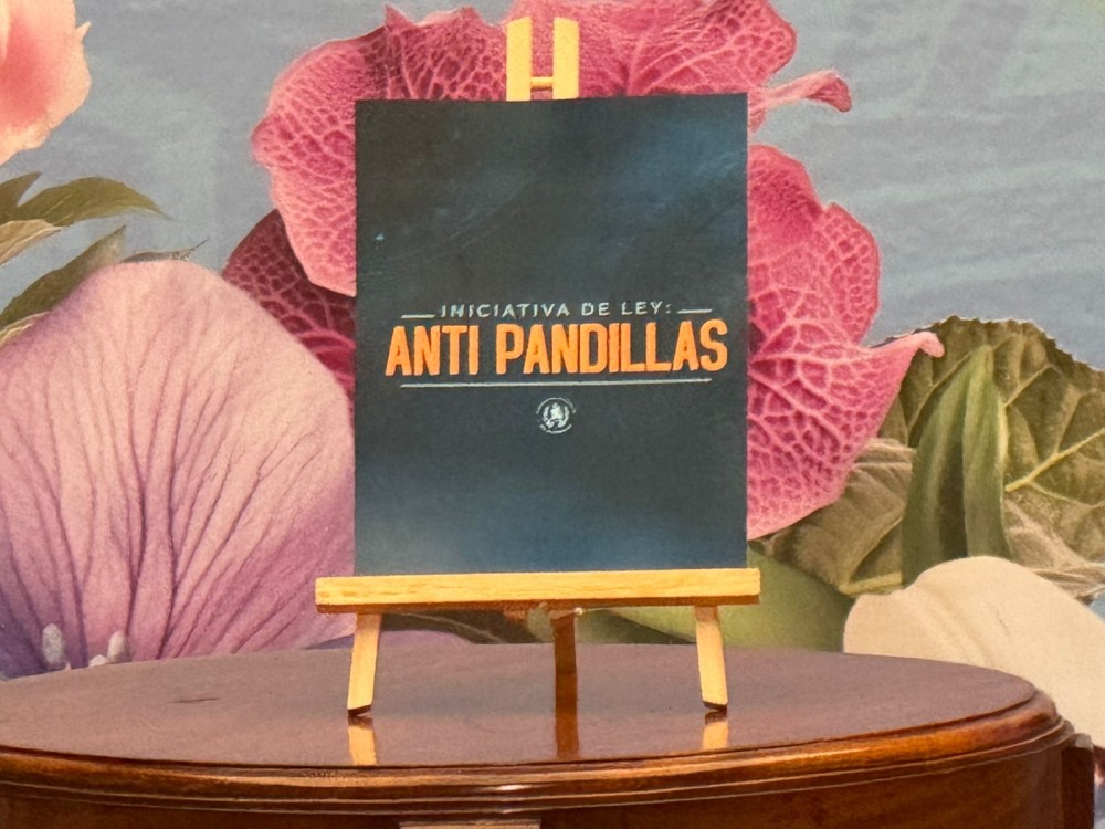 Gobierno presentará al Congreso dos iniciativas para reforzar la seguridad y combatir el crimen organizado