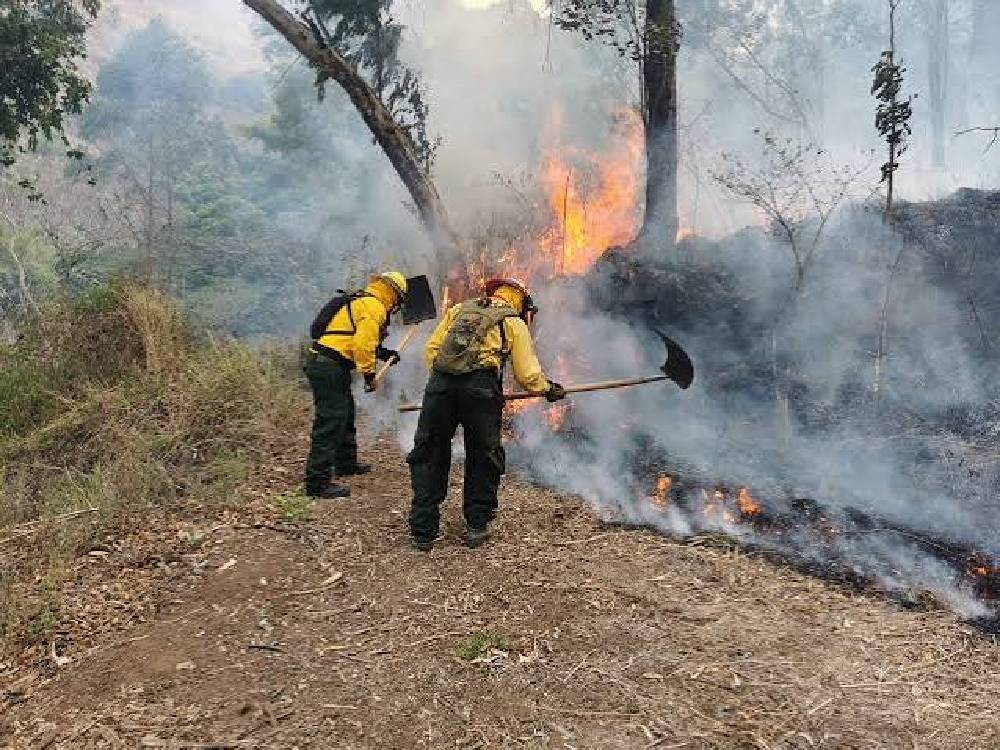  Guatemala no reporta incendios activos pese a canícula prolongada