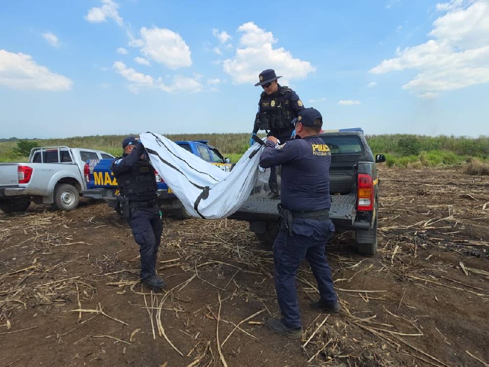 Hallan cadáver semicalcinado en cañaveral