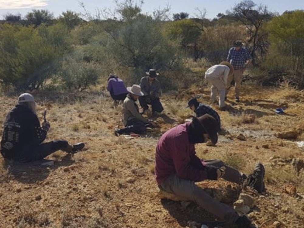 Hallan fósiles de dos marsupiales australianos de 25 millones de años