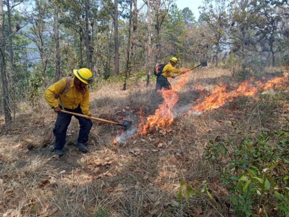 Huehuetenango, el departamento más afectado por incendios forestales en lo que va del año