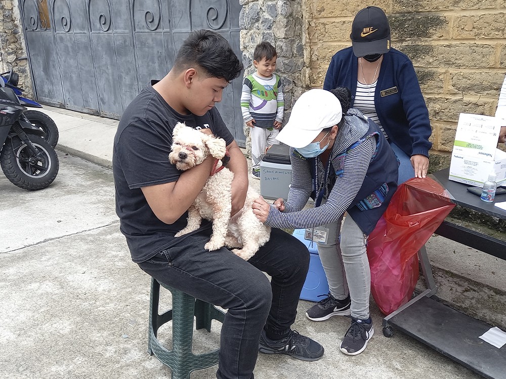Huehuetenango: La zona 4 será la primera en iniciar vacunación contra la rabia