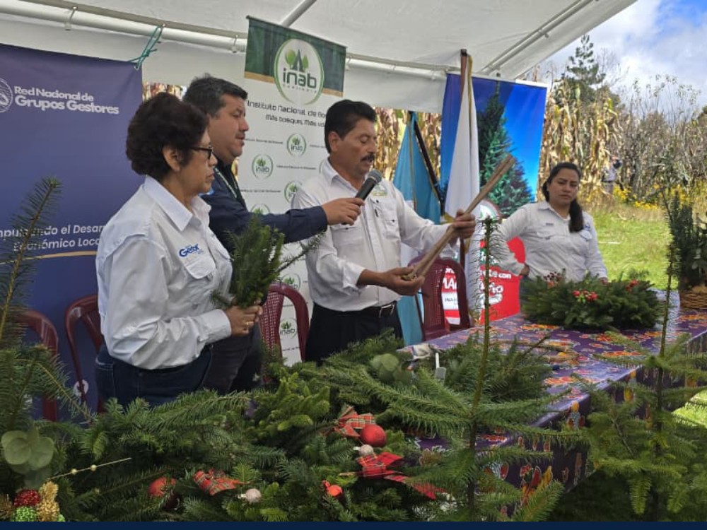 Impulsan emprendimiento de productores de pinabete