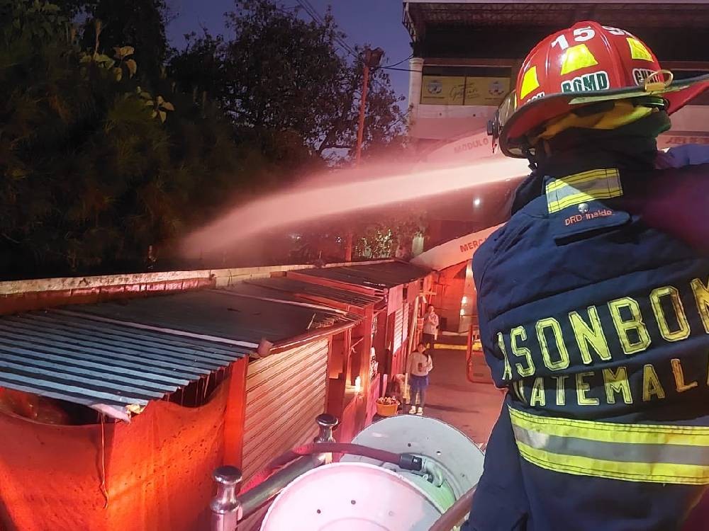Incendio forestal amenazaba área de la Central de Autobuses de San Marcos