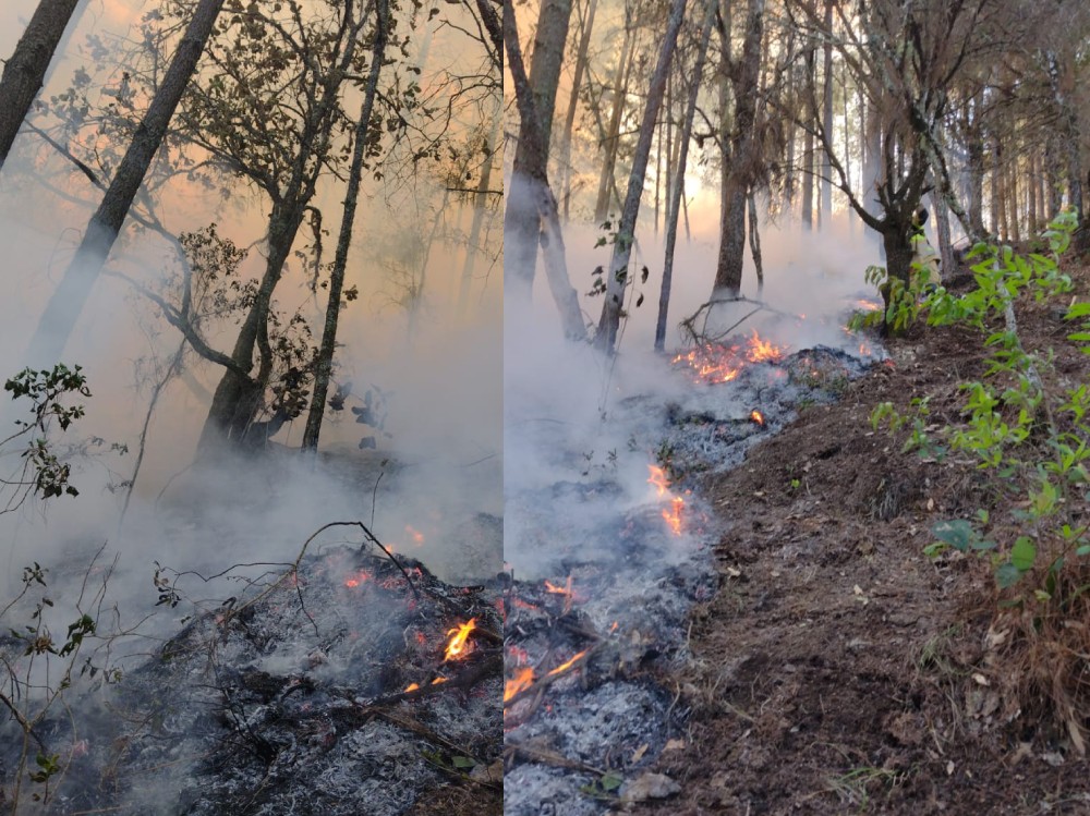 Incendios forestales protagonizan siniestros en distintos municipios de Huehuetenango 