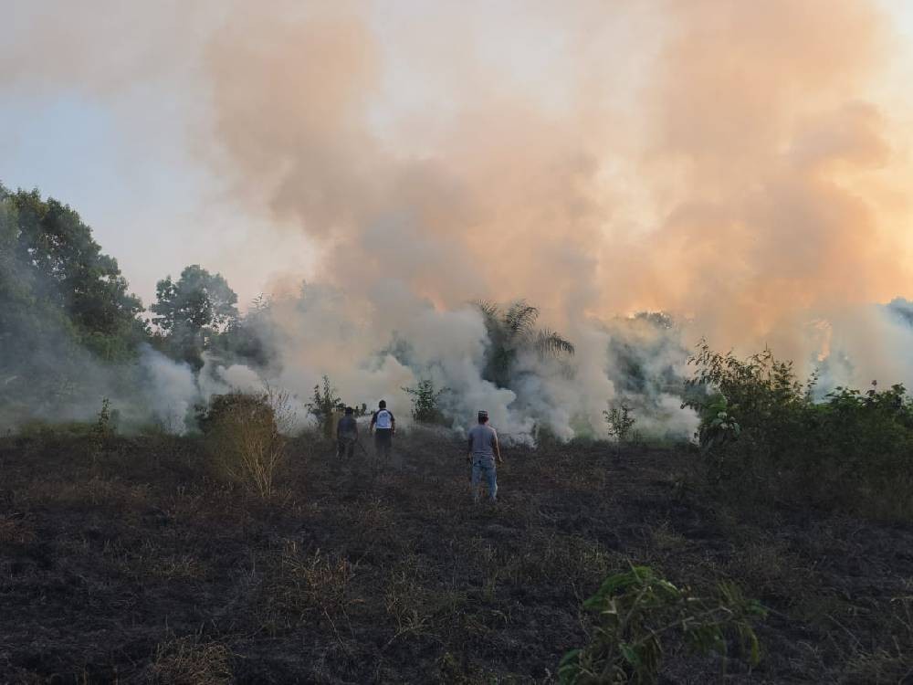 Incrementan incendios de pastizales en Mazatenango: Bomberos alertan por riesgos del verano