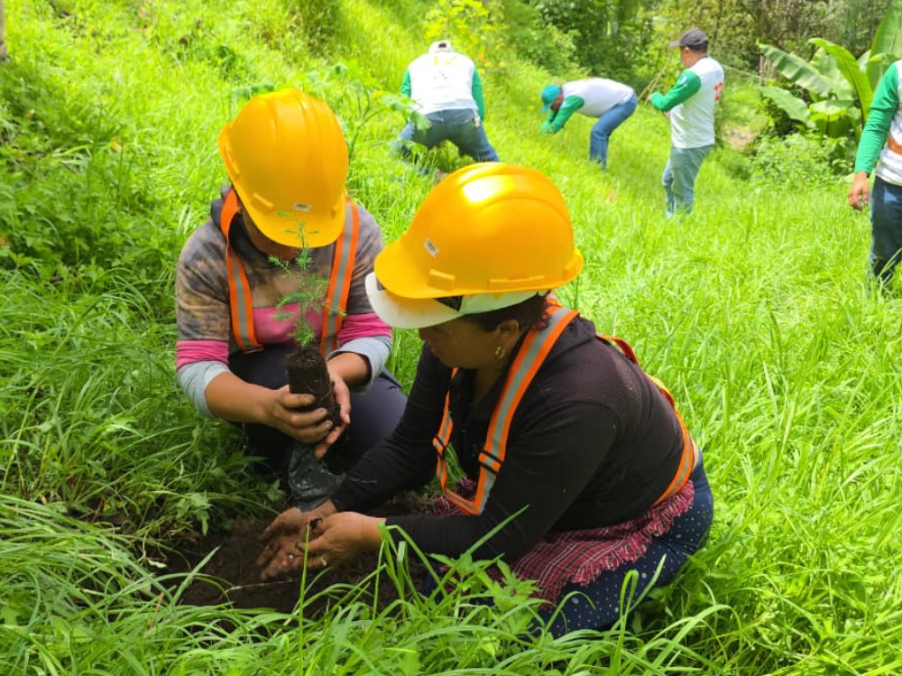  Inicia campaña de reforestación “Sembrando Huella” en San Marcos con meta de 40 mil árboles