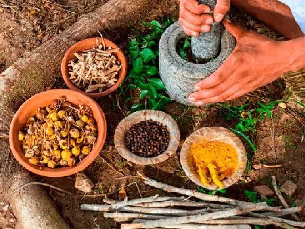 Integración de la medicina maya ancestral.