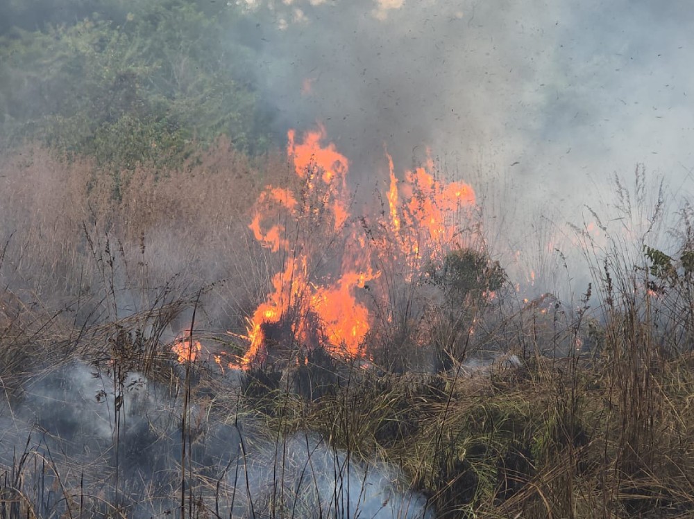 Intenso incendio de pastizales moviliza a cuerpos de socorro en la ruta CA-2