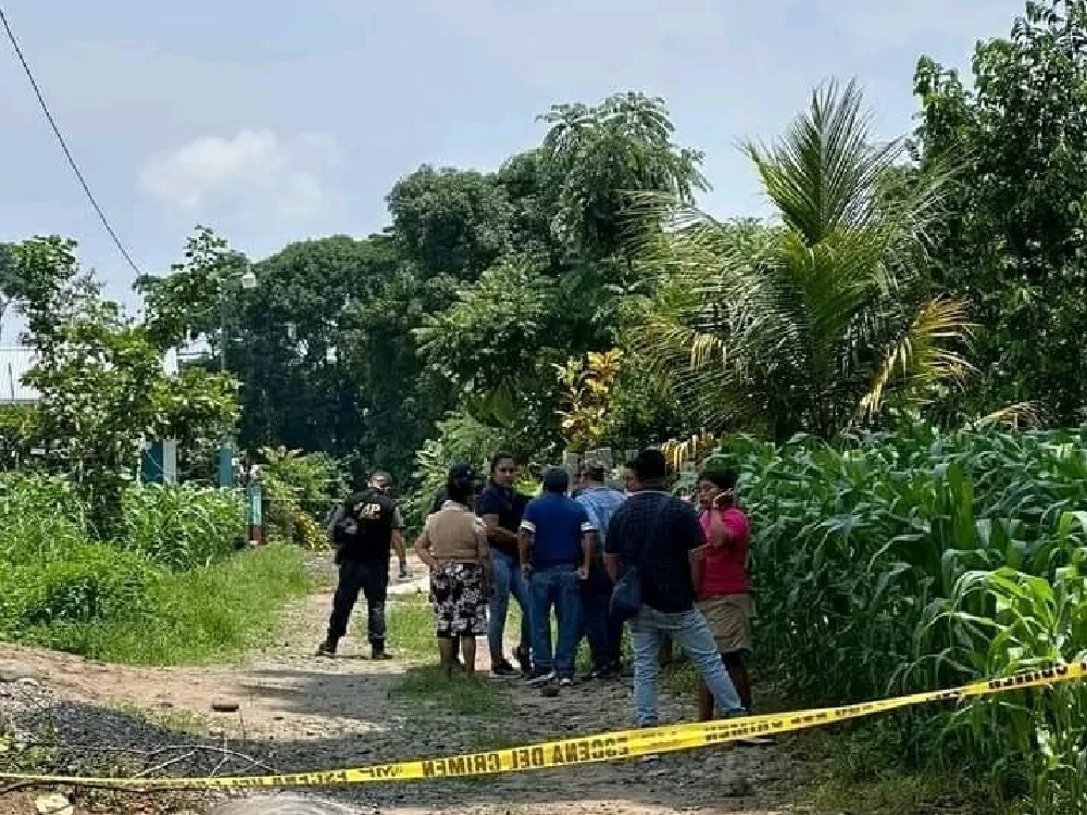 Jauría de perros mata a hombre que trabajaba en su siembra de milpa 