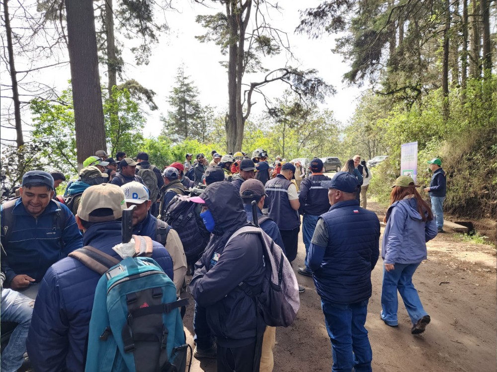 Jornada de reforestación fortalece la conservación del Cerro El Baúl