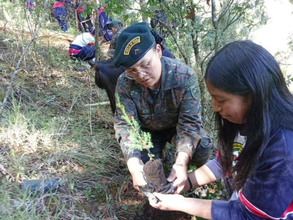 Jornada de reforestación fortalece la protección ambiental en comunidad de San Marcos