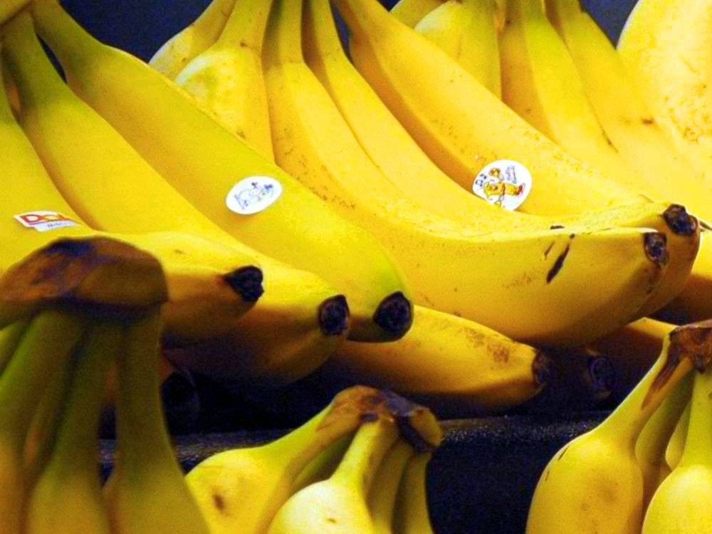 La fruta "radiactiva" de tu cocina: La verdad científica detrás de los bananos