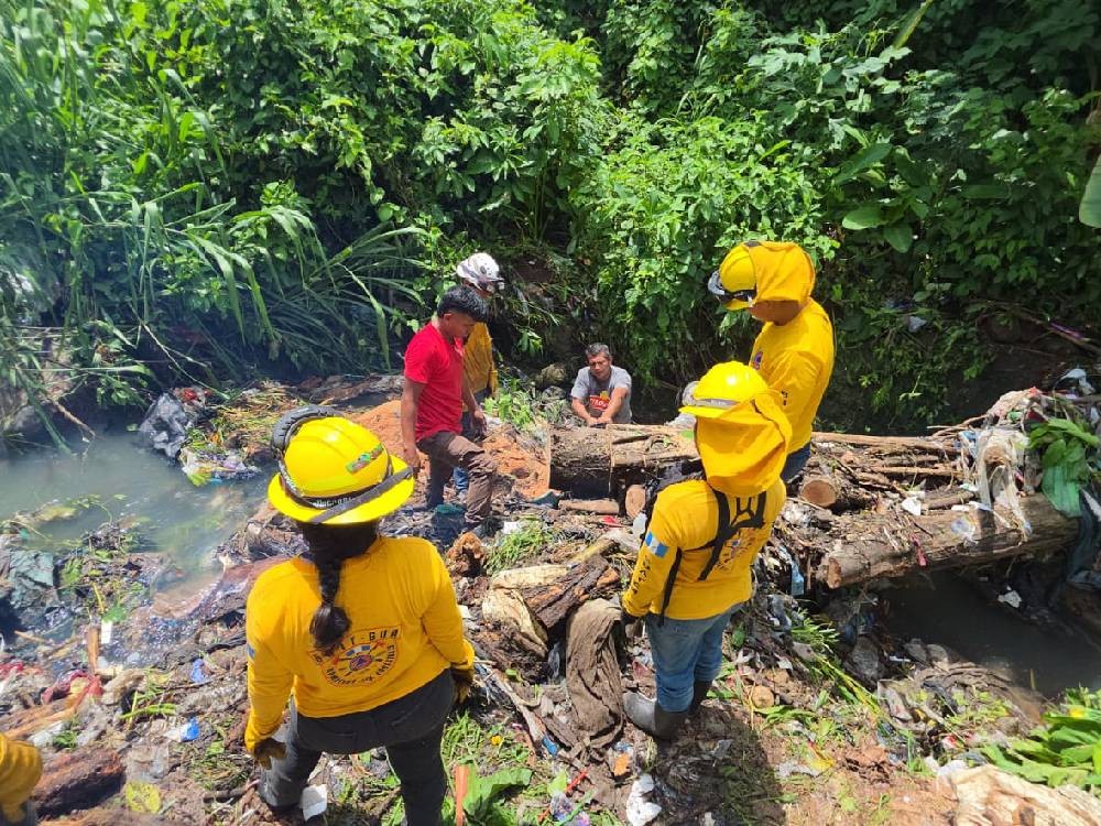 Laboran para liberar cauce de río obstruido por árboles y basura
