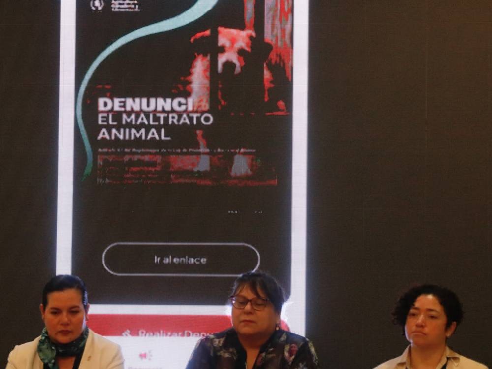 Lanzan aplicación móvil para agilizar denuncias de maltrato animal 