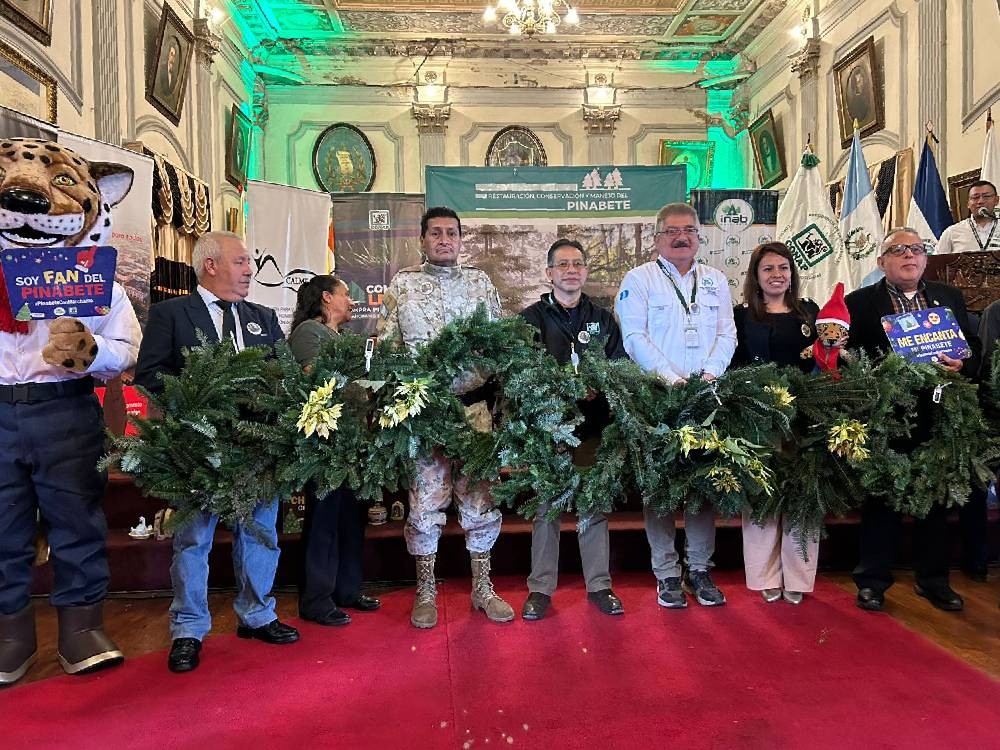 Lanzan en Quetzaltenango campaña de conservación y manejo del pinabete
