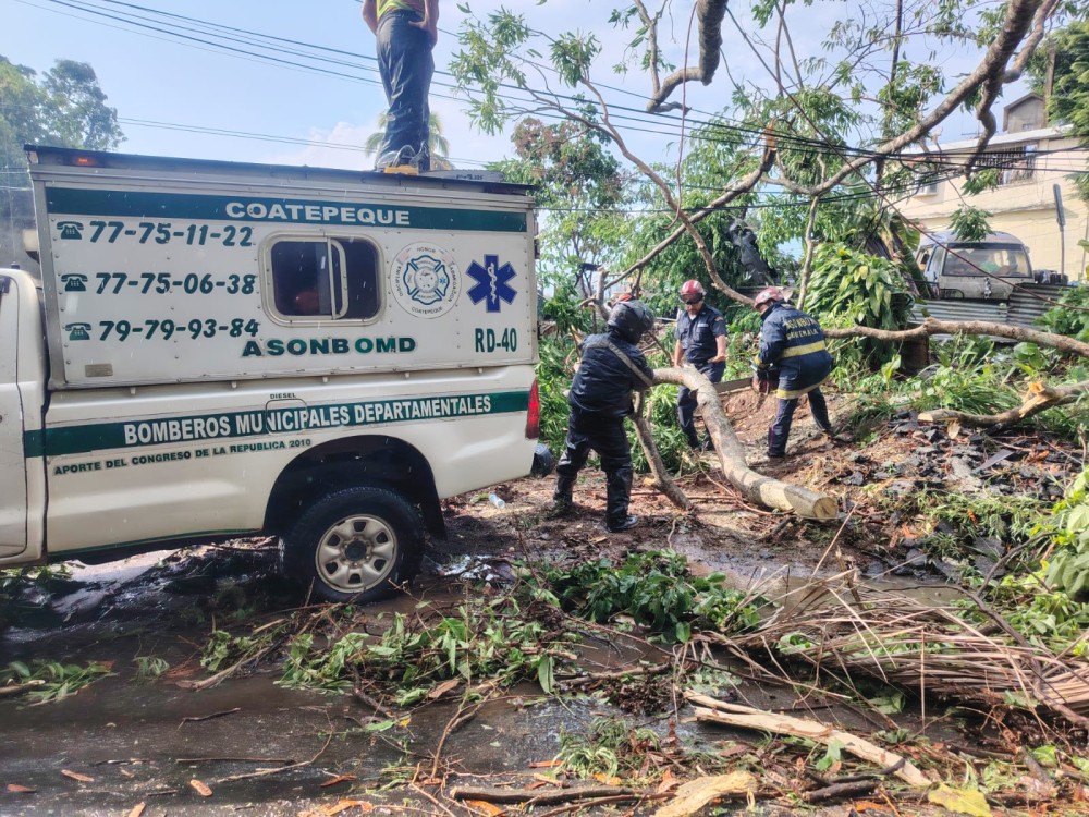 Lluvias y fuertes vientos provocan caída de árboles en rutas de Coatepeque