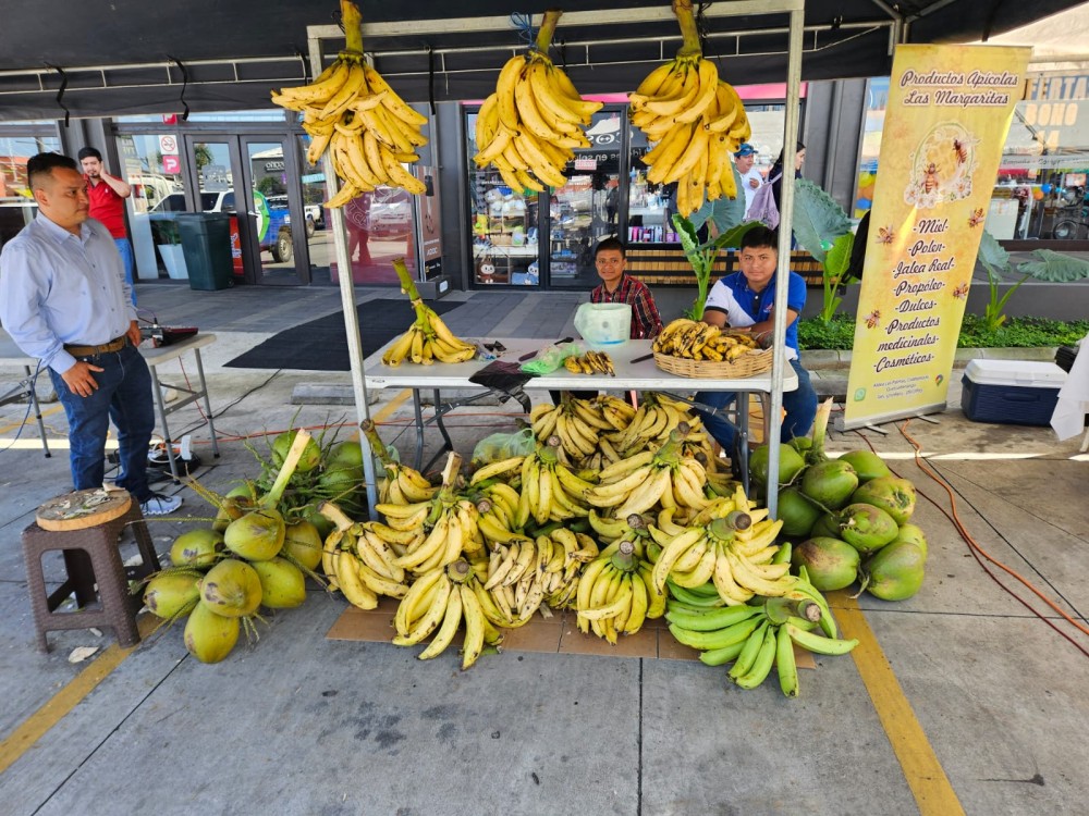 MAGA realiza feria del agricultor en Coatepeque con participación de productores de varios municipios