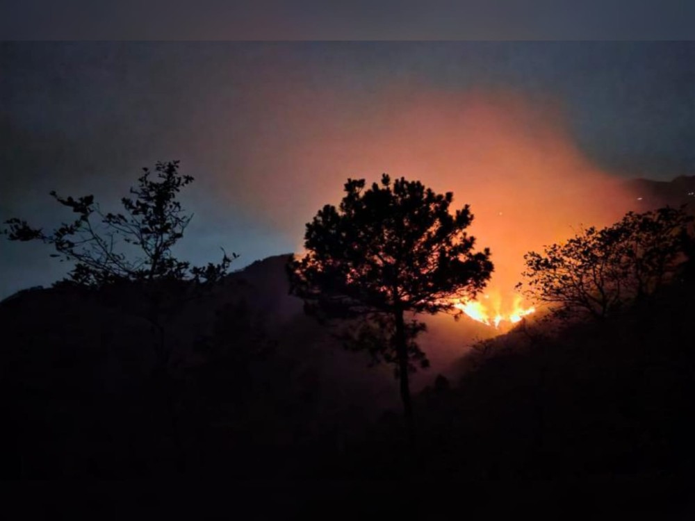 Más de 13 mil hectáreas han sido afectadas por incendios durante esta temporada