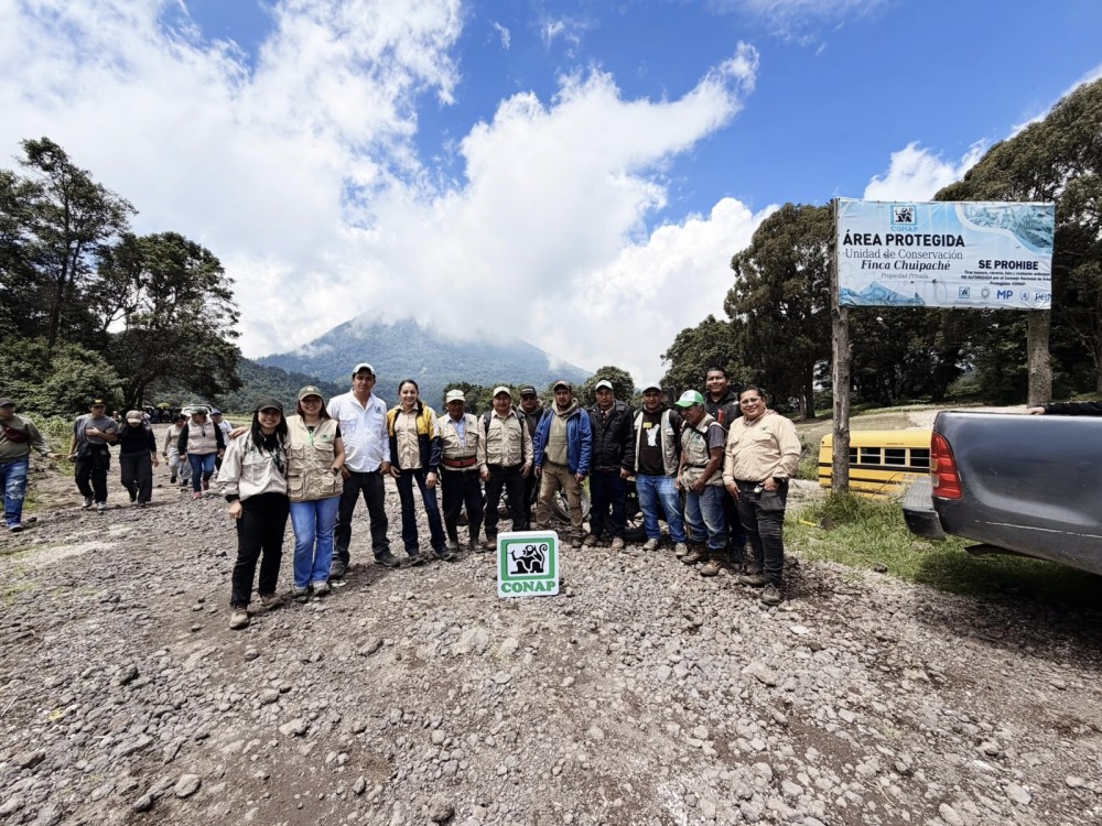Más de 1,500 estudiantes del CUNOC participan en jornadas de reforestación y restauración ambiental