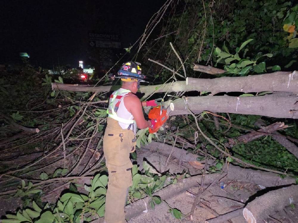Mazatenango: Árbol caído y aparatoso accidente marcan la madrugada en el kilómetro 163