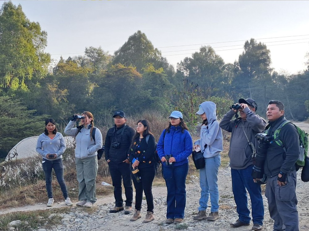 Monitorean diversidad de aves en Huehuetenango 