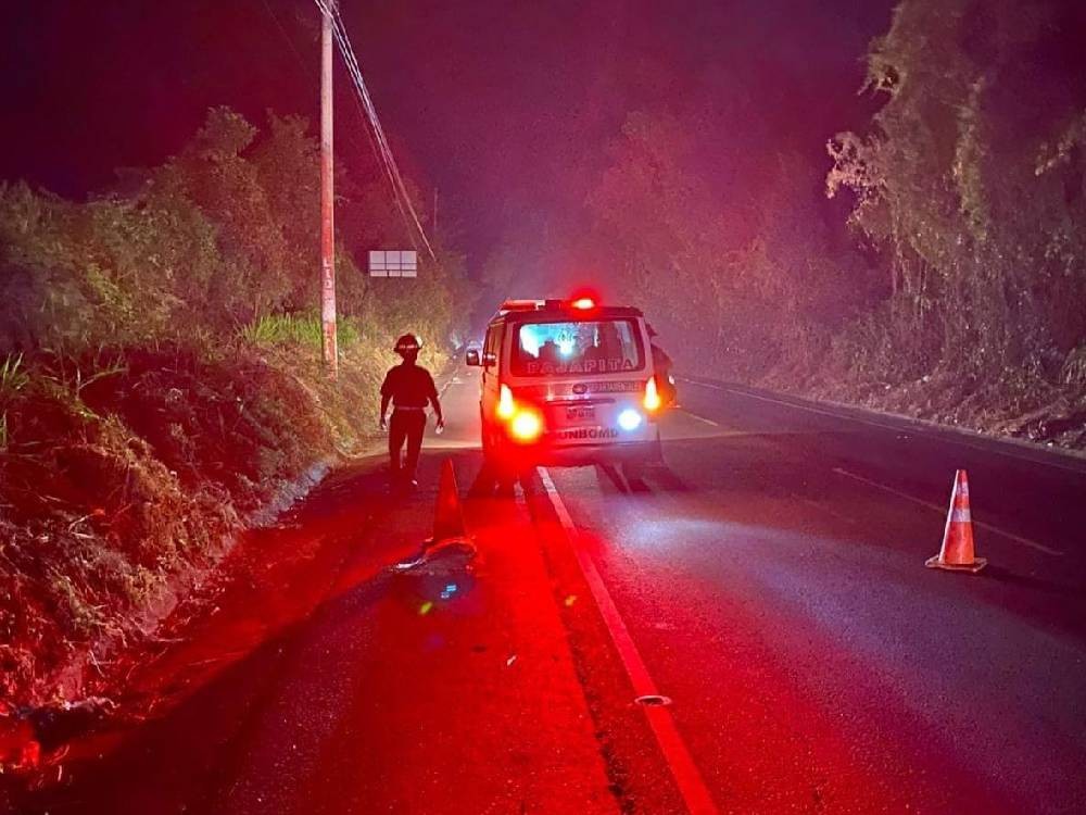 Motociclista fallece de forma trágica tras ser arrollado 